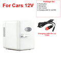 4L Mini Fridge Portable for Car & Home Hot & Cold Dorm Fridge for Refrigerating Cosmetics  Beverages & Cosmetic Storage