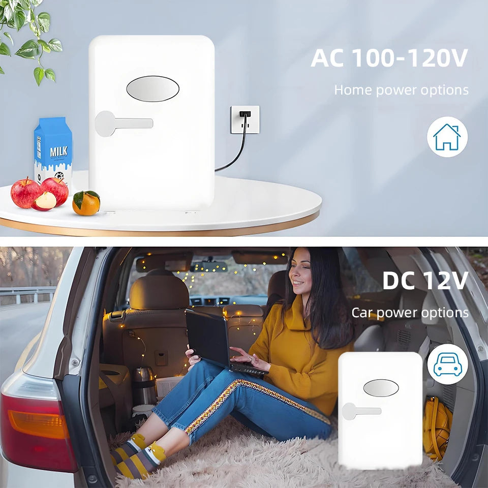 4L Mini Fridge Portable for Car & Home Hot & Cold Dorm Fridge for Refrigerating Cosmetics  Beverages & Cosmetic Storage