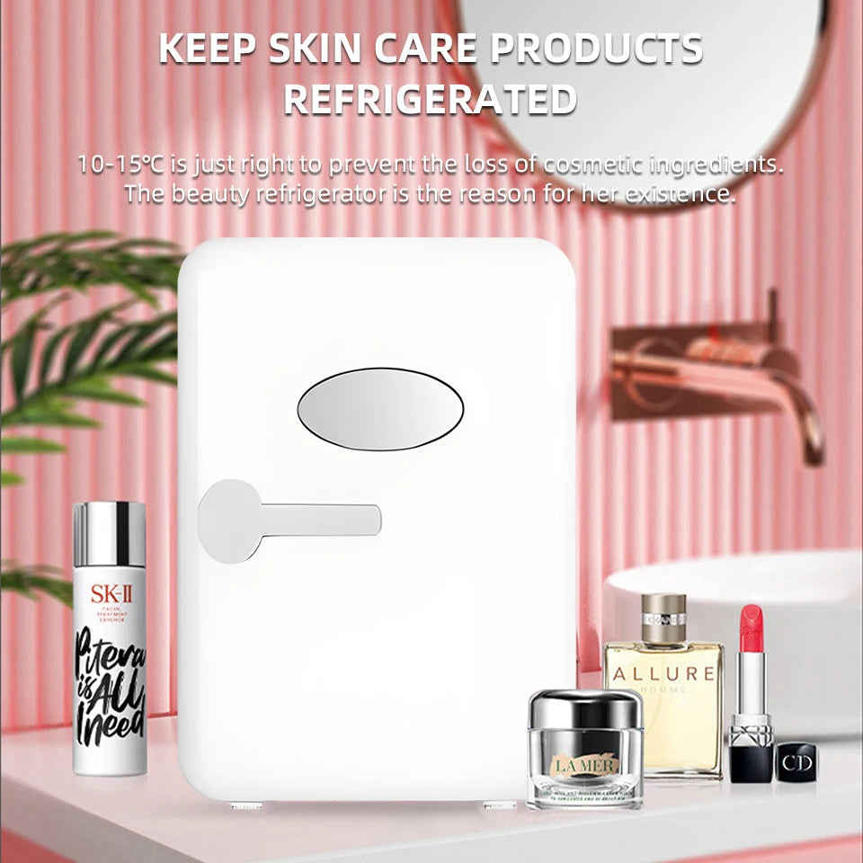 4L Mini Fridge Portable for Car & Home Hot & Cold Dorm Fridge for Refrigerating Cosmetics  Beverages & Cosmetic Storage